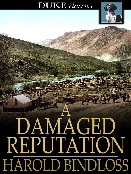 Cover image for A Damaged Reputation
